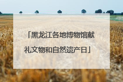 黑龙江各地博物馆献礼文物和自然遗产日