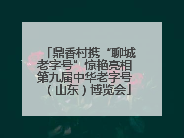 鼎香村携“聊城老字号”惊艳亮相第九届中华老字号（山东）博览会