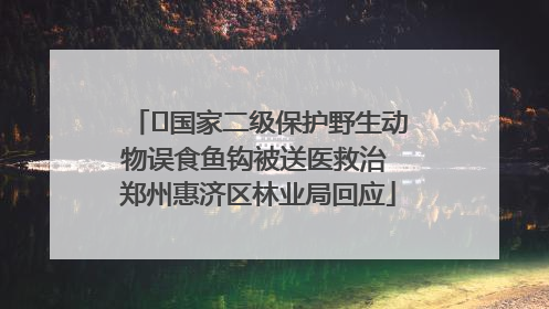 ﻿国家二级保护野生动物误食鱼钩被送医救治 郑州惠济区林业局回应