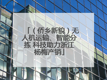 （侨乡新貌）无人机运输、智能分拣 科技助力浙江杨梅产销