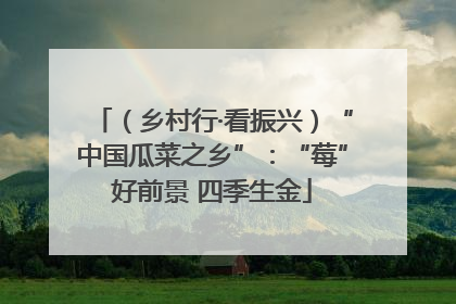 （乡村行·看振兴）“中国瓜菜之乡”：“莓”好前景 四季生金