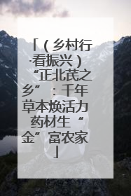 （乡村行·看振兴）“正北芪之乡”：千年草本焕活力 药材生“金”富农家
