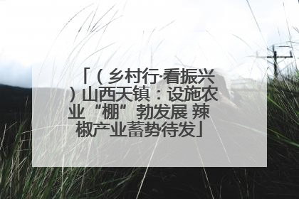 （乡村行·看振兴）山西天镇：设施农业“棚”勃发展 辣椒产业蓄势待发