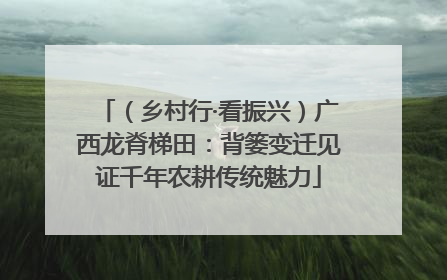 （乡村行·看振兴）广西龙脊梯田：背篓变迁见证千年农耕传统魅力