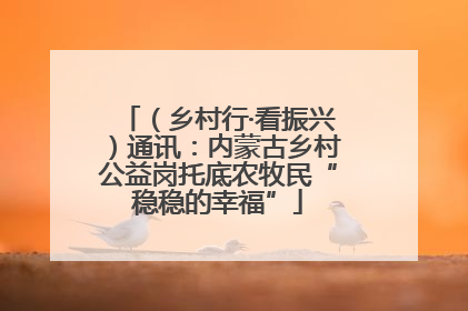 （乡村行·看振兴）通讯：内蒙古乡村公益岗托底农牧民“稳稳的幸福”