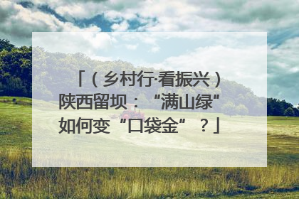 （乡村行·看振兴）陕西留坝：“满山绿”如何变“口袋金”？
