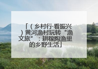 （乡村行·看振兴）黄河渔村玩转“渔文旅”：耕稼陶渔里的乡野生活