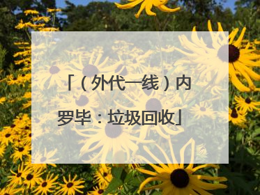 （外代一线）内罗毕：垃圾回收