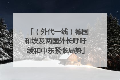 （外代一线）德国和埃及两国外长呼吁缓和中东紧张局势