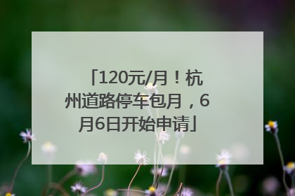 120元/月！杭州道路停车包月，6月6日开始申请