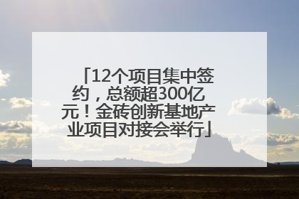 12个项目集中签约，总额超300亿元！金砖创新基地产业项目对接会举行