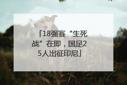 18强赛“生死战”在即，国足25人出征印尼