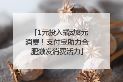 1元投入撬动8元消费！支付宝助力合肥激发消费活力