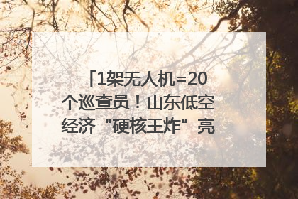 1架无人机=20个巡查员！山东低空经济“硬核王炸”亮相青岛，下一个万亿赛道藏在这里