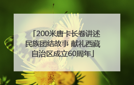 200米唐卡长卷讲述民族团结故事 献礼西藏自治区成立60周年