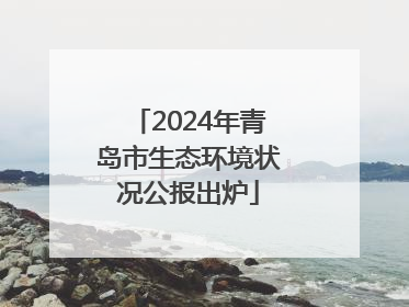 2024年青岛市生态环境状况公报出炉