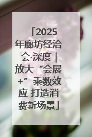 2025年廊坊经洽会·深度｜放大“会展+”乘数效应 打造消费新场景