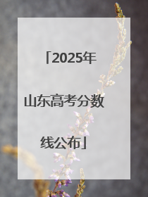 2025年山东高考分数线公布