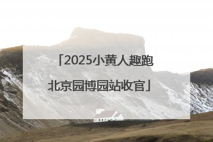 2025小黄人趣跑北京园博园站收官