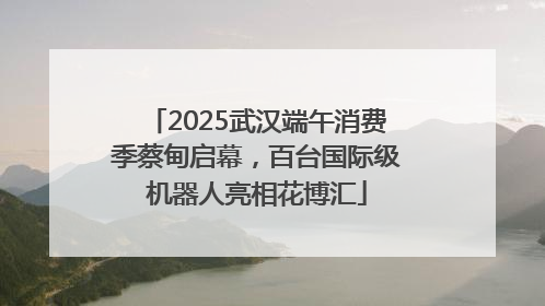 2025武汉端午消费季蔡甸启幕，百台国际级机器人亮相花博汇
