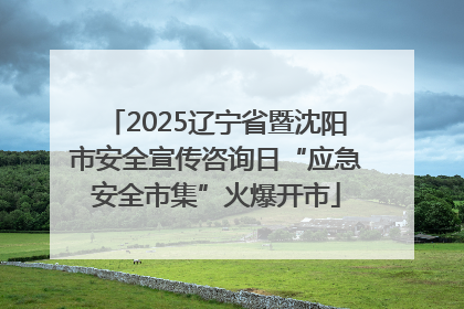 2025辽宁省暨沈阳市安全宣传咨询日“应急安全市集”火爆开市