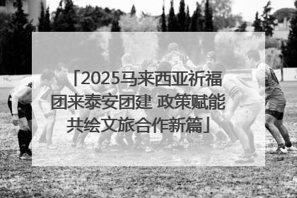 2025马来西亚祈福团来泰安团建 政策赋能共绘文旅合作新篇
