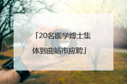 20名医学博士集体到曲靖市应聘