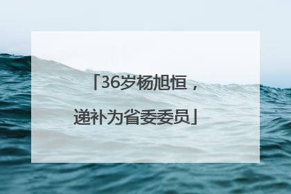 36岁杨旭恒，递补为省委委员