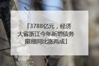 3788亿元，经济大省浙江今年新增债务限额同比涨两成