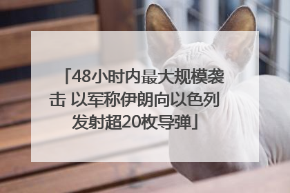 48小时内最大规模袭击 以军称伊朗向以色列发射超20枚导弹