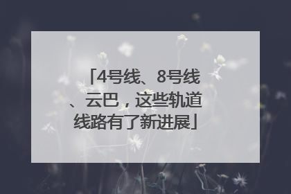 4号线、8号线、云巴，这些轨道线路有了新进展