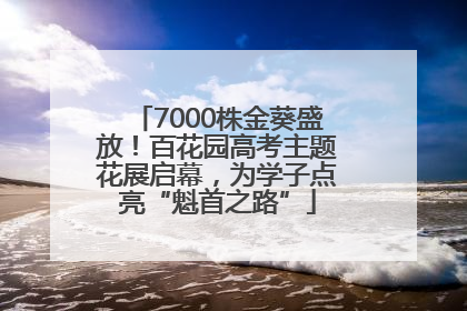 7000株金葵盛放！百花园高考主题花展启幕，为学子点亮“魁首之路”