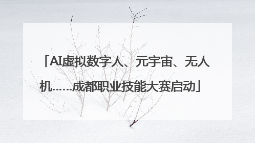 AI虚拟数字人、元宇宙、无人机……成都职业技能大赛启动