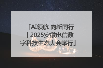 AI领航 向新同行丨2025安徽电信数字科技生态大会举行