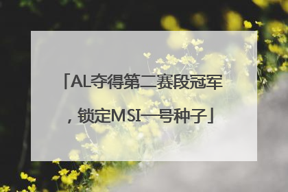 AL夺得第二赛段冠军，锁定MSI一号种子