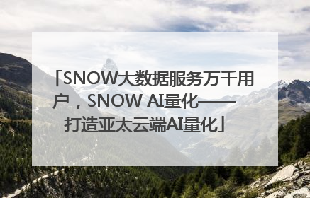 SNOW大数据服务万千用户，SNOW AI量化——打造亚太云端AI量化