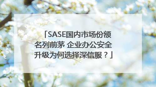 SASE国内市场份额名列前茅 企业办公安全升级为何选择深信服？